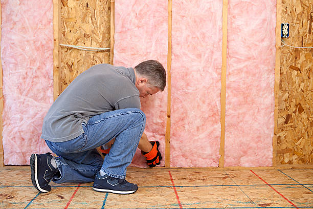 Best Wall Insulation Contractor  in West Cape May, NJ
